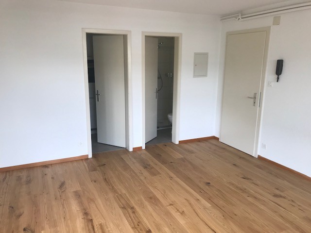 1 ½ pièces appartement