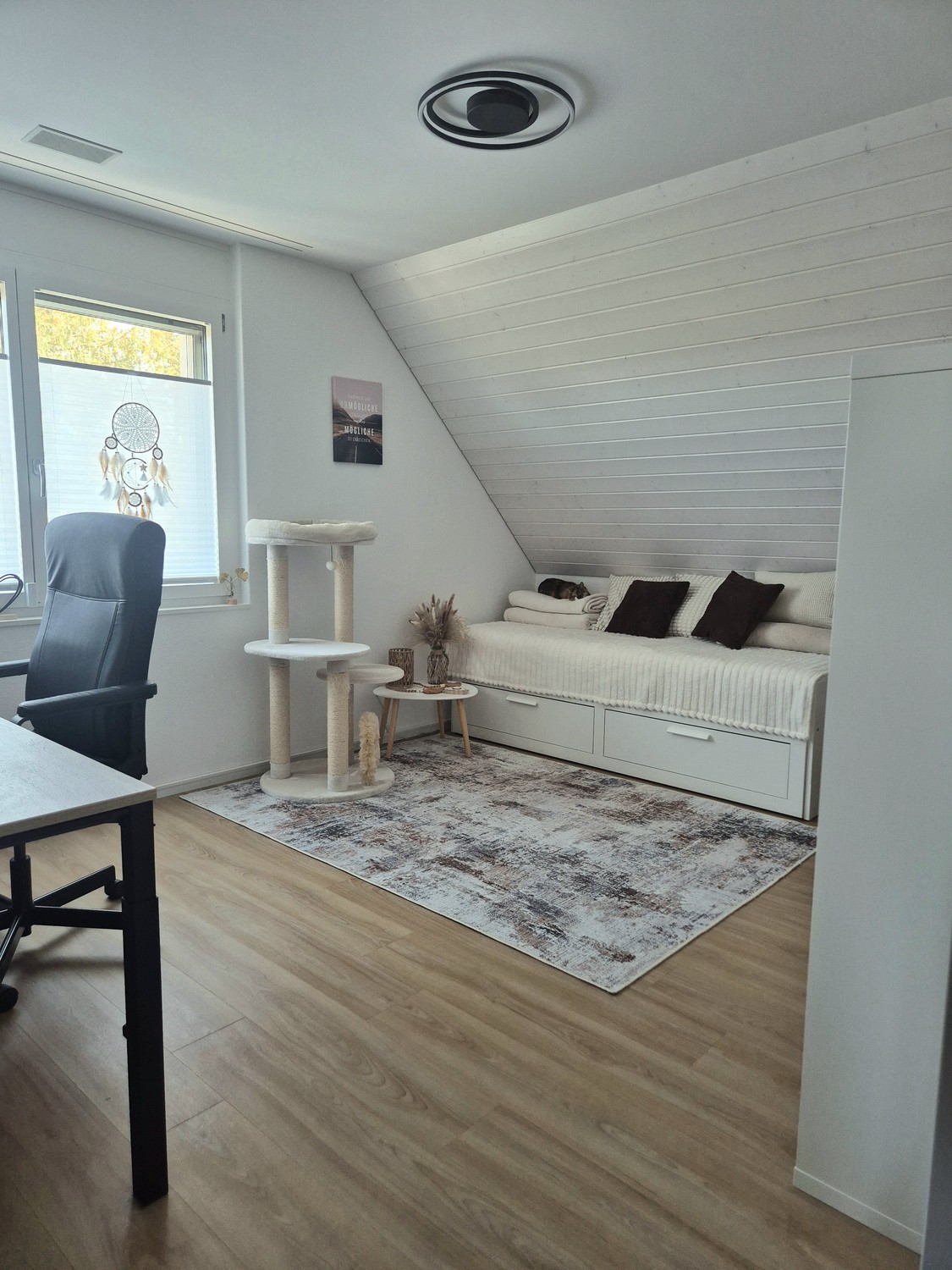 Room in a shared flat