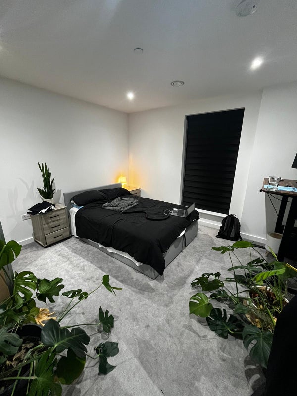 Room in a shared flat