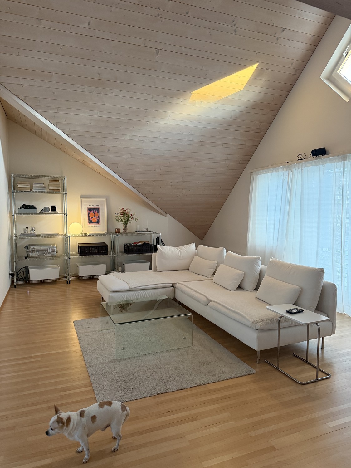 3 ½ rooms apartment, Foto 1 von 8