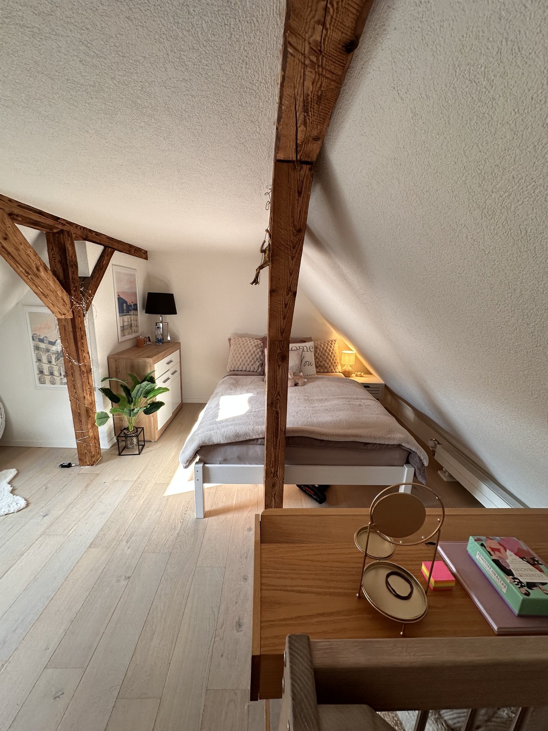 Appartement 1 pièce