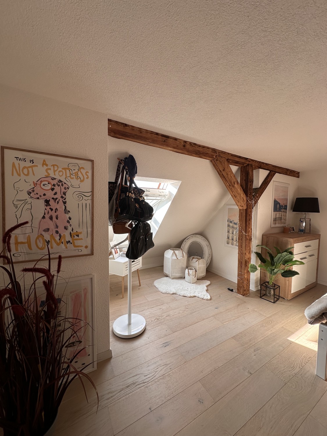 Appartement 1 pièce