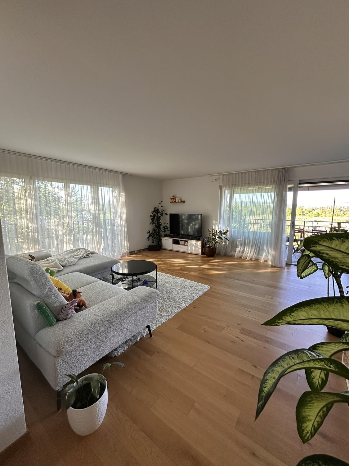 4 ½ rooms apartment