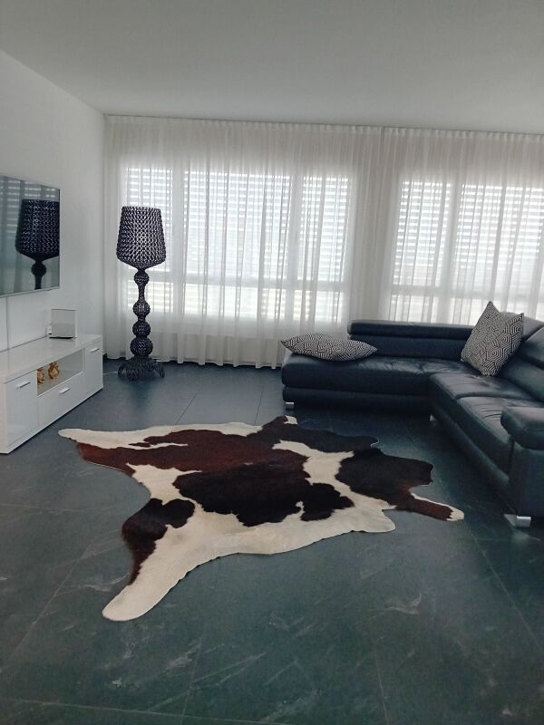 5 ½ rooms apartment (2)