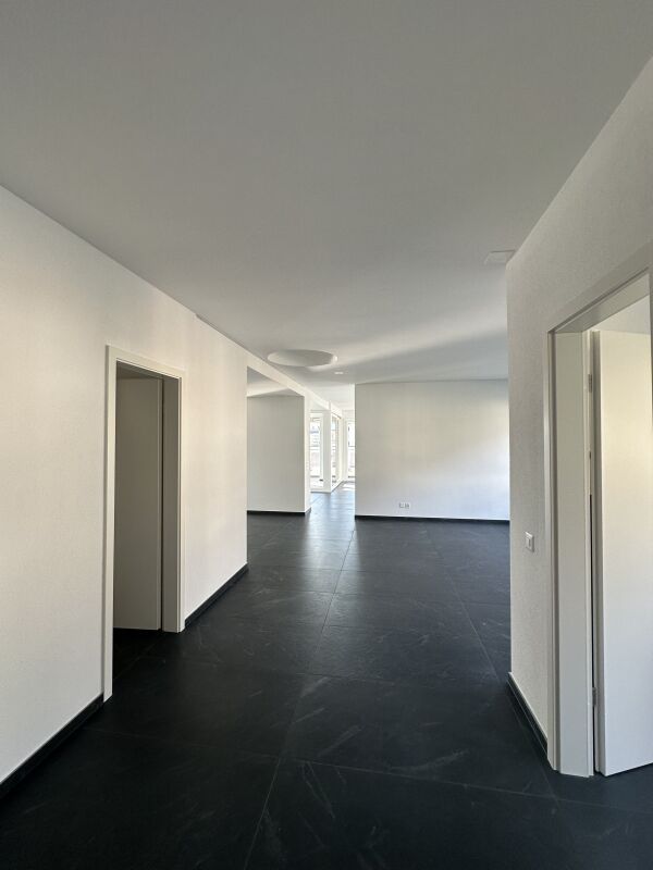 5 ½ rooms apartment (7)