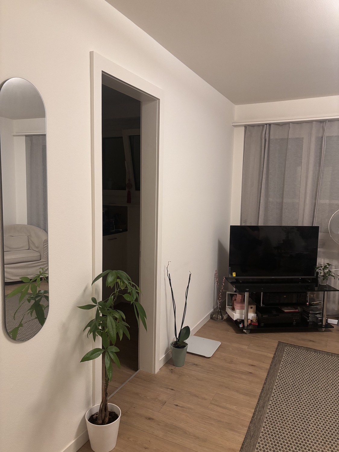 1 room apartment, Foto 3 von 4