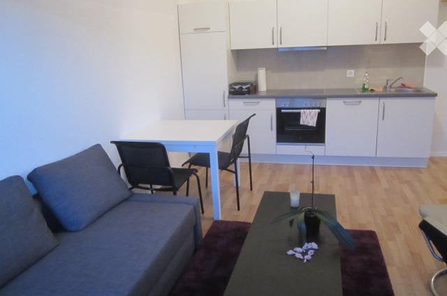 3 ½ Zimmer Wohnung