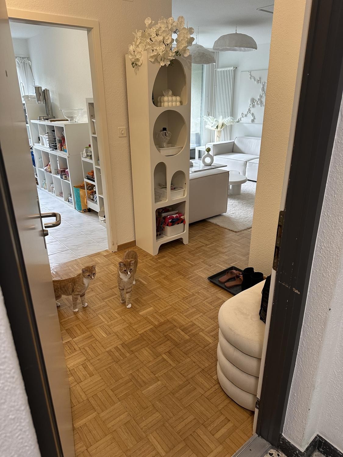 Appartamento di 3 ½ locali, foto 8 di 8