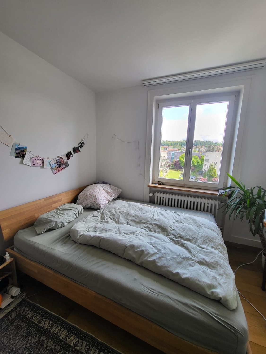 Room in a shared flat