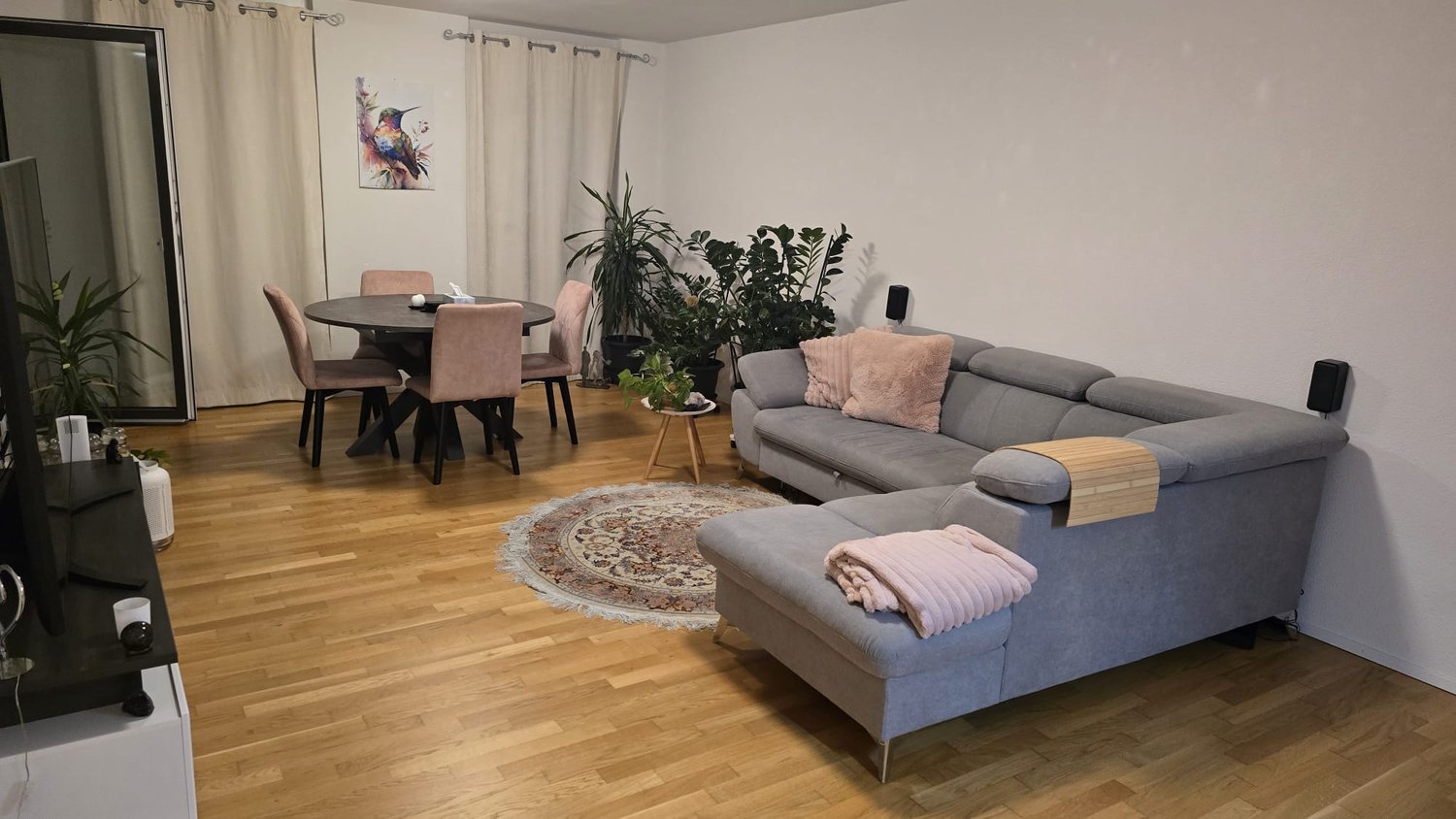 Appartement de 2 ½ pièces