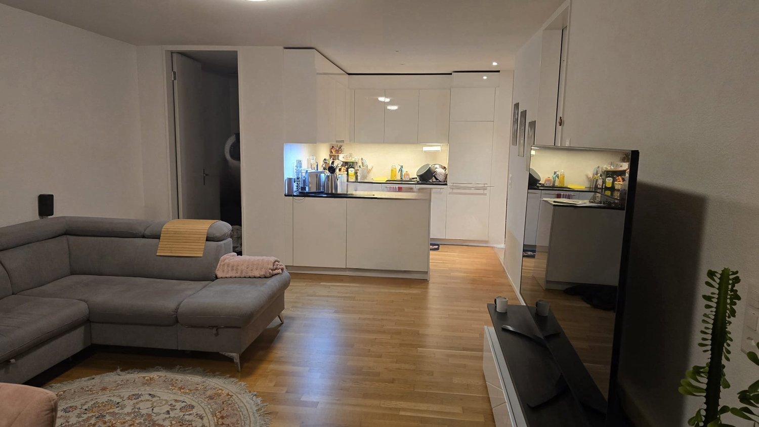 Appartement de 2 ½ pièces