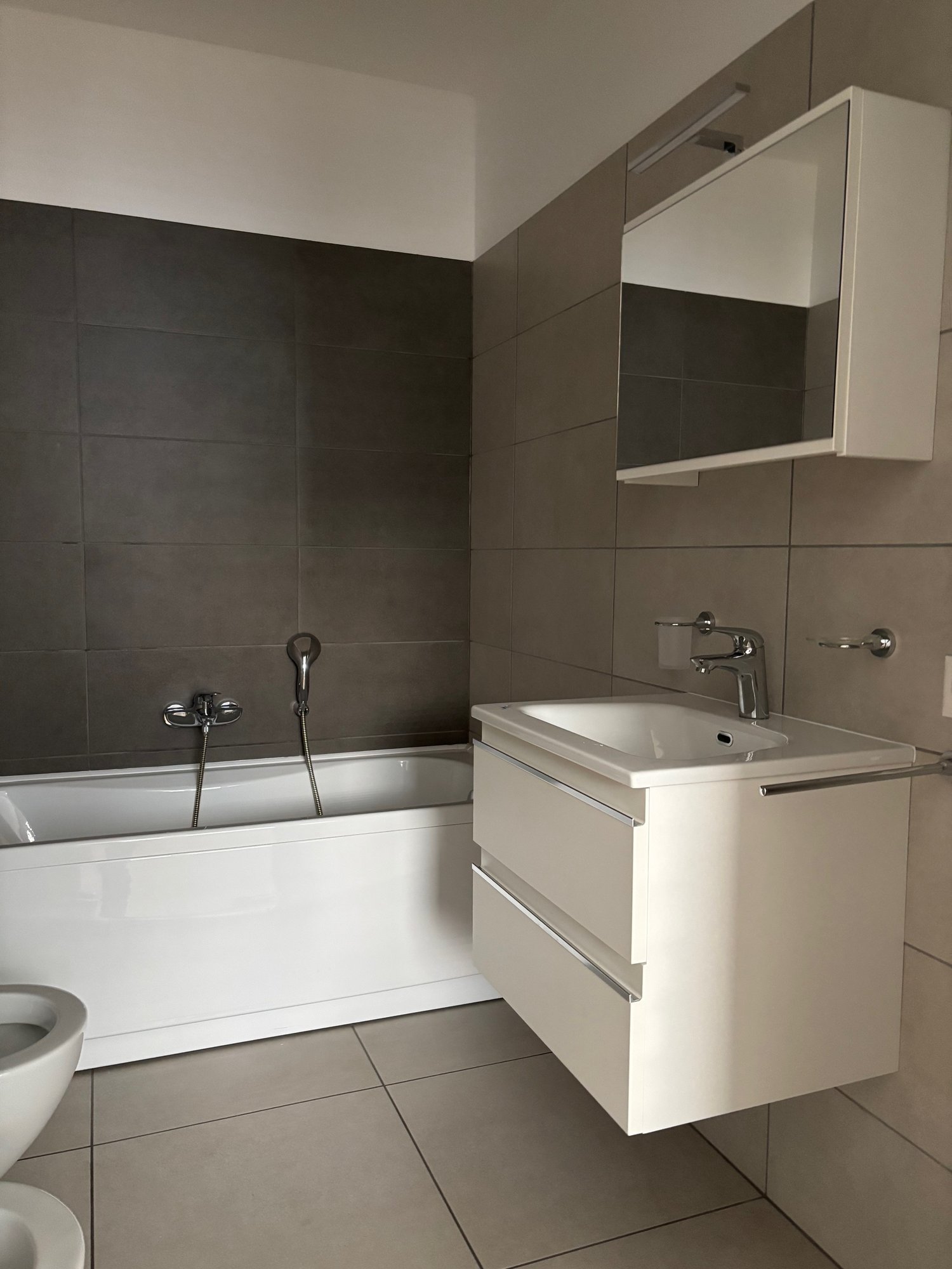 3 ½ rooms apartment (4)