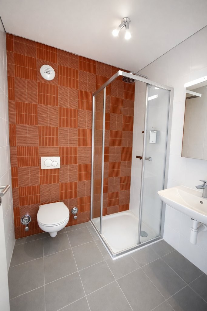 4 ½ rooms apartment (4)