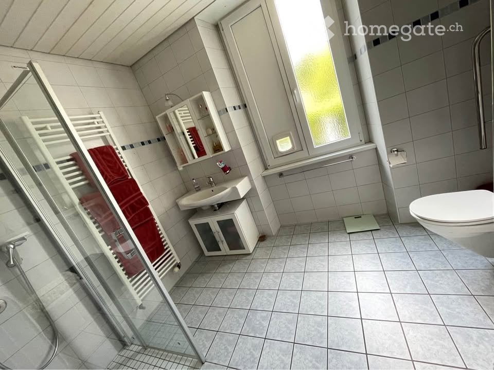 2 ½ Zimmer Wohnung