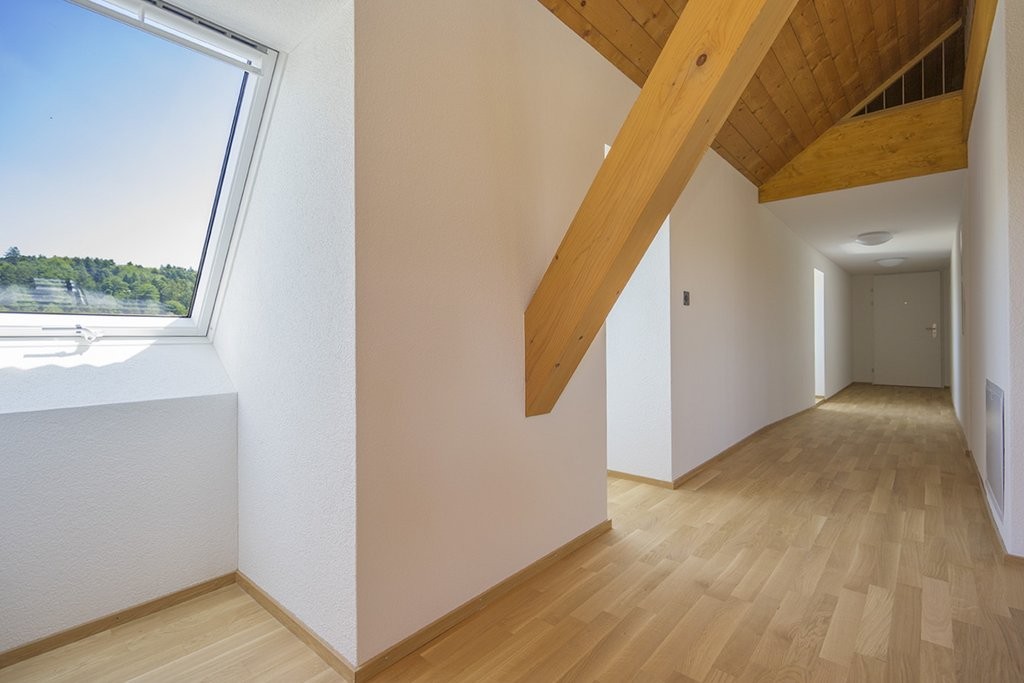 2 ½ rooms loft