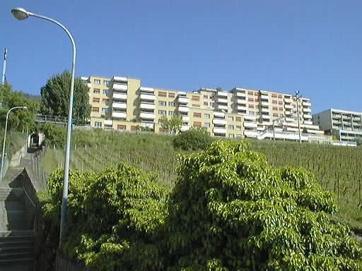 2 ½ Zimmer Wohnung