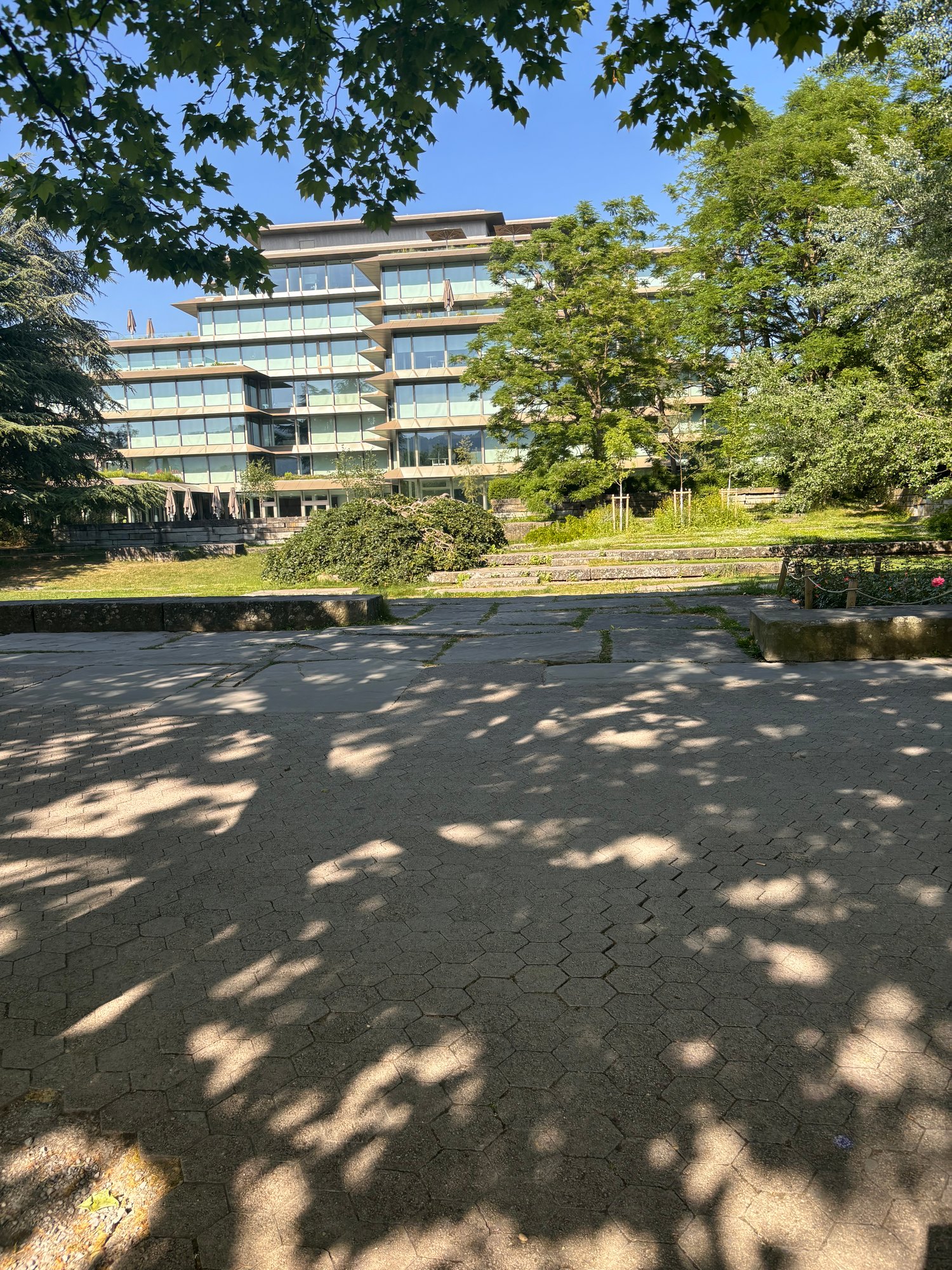 1451m² office