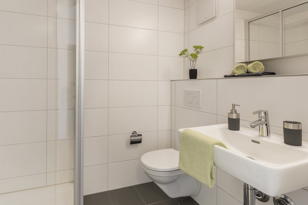 4 ½ rooms apartment