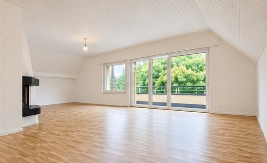 3 ½ room apartment