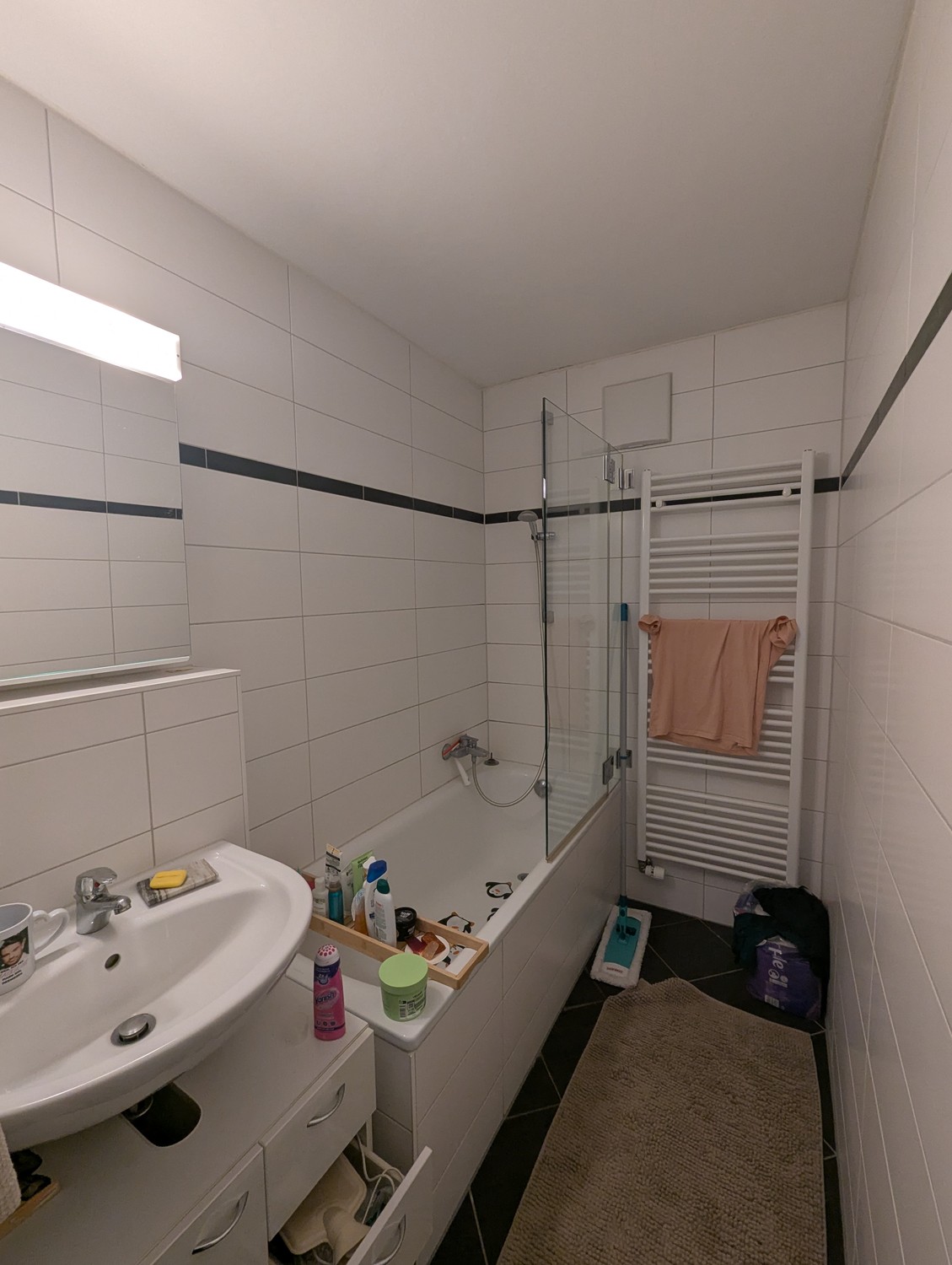 2 ½ Zimmer-Wohnung