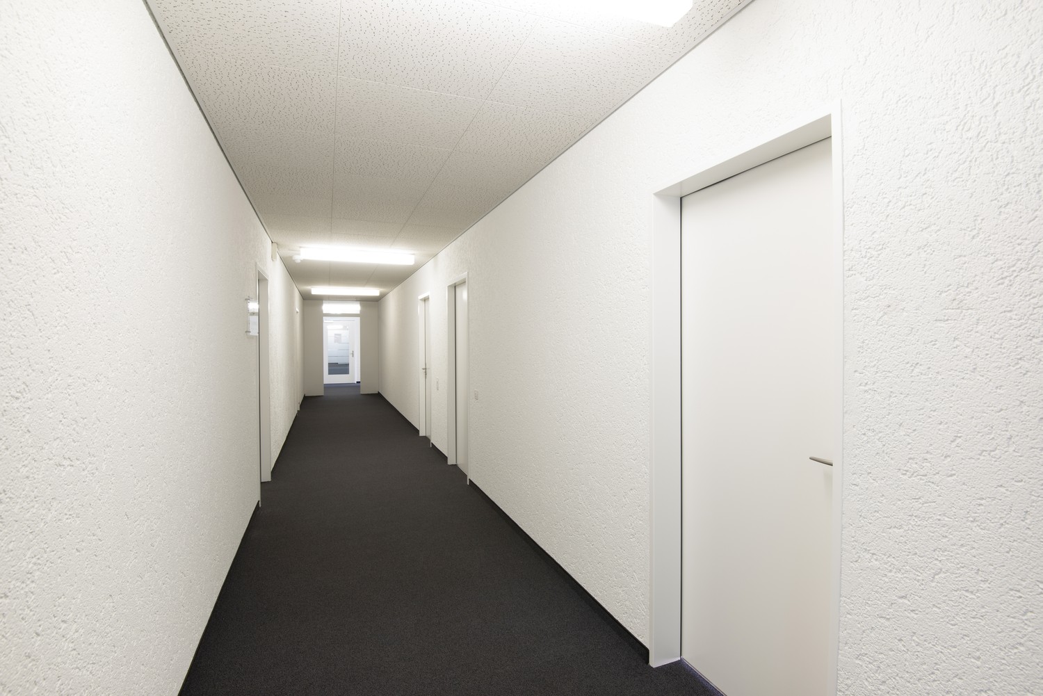Bureau de 110m²
