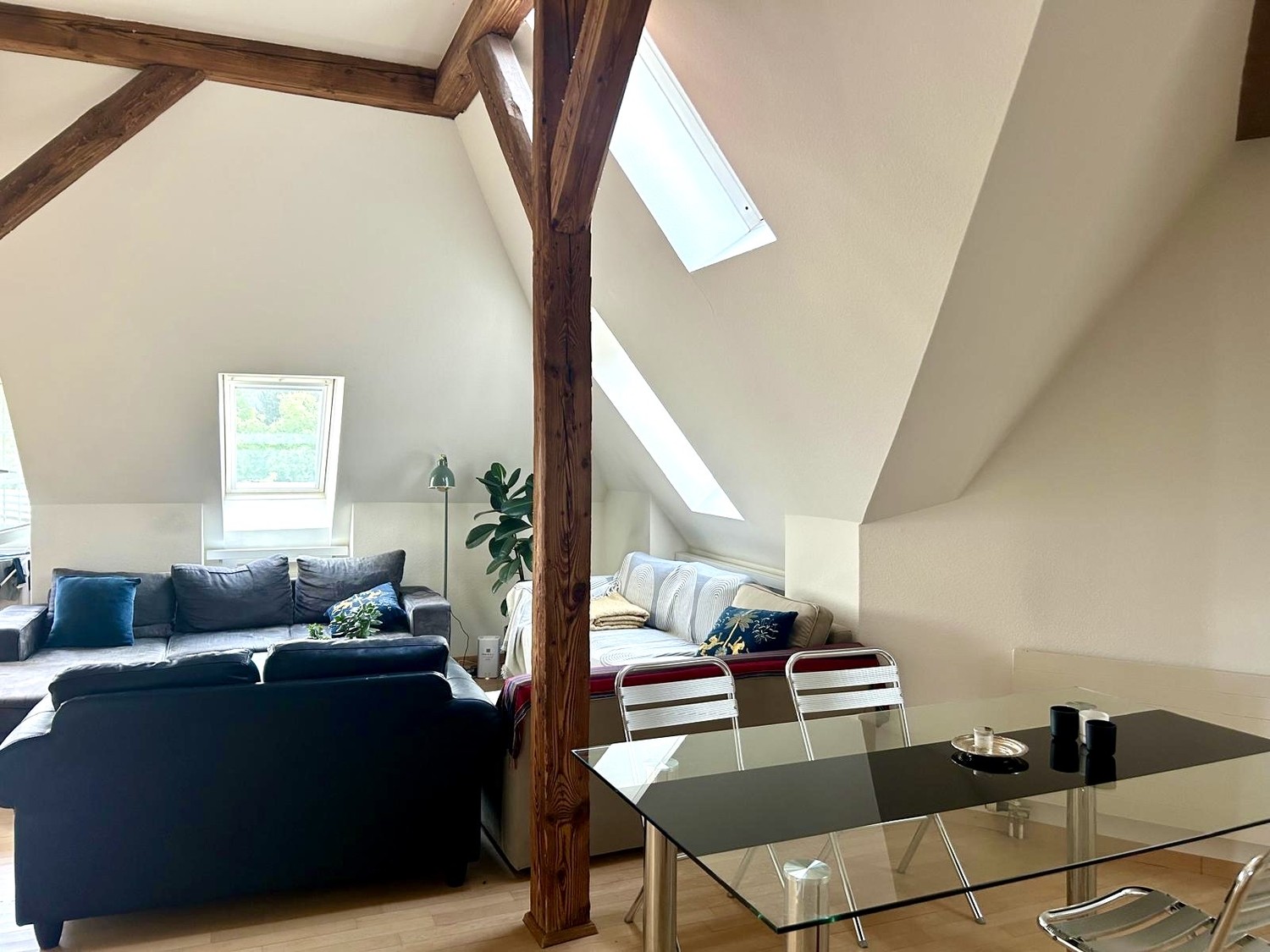 Room in a shared flat