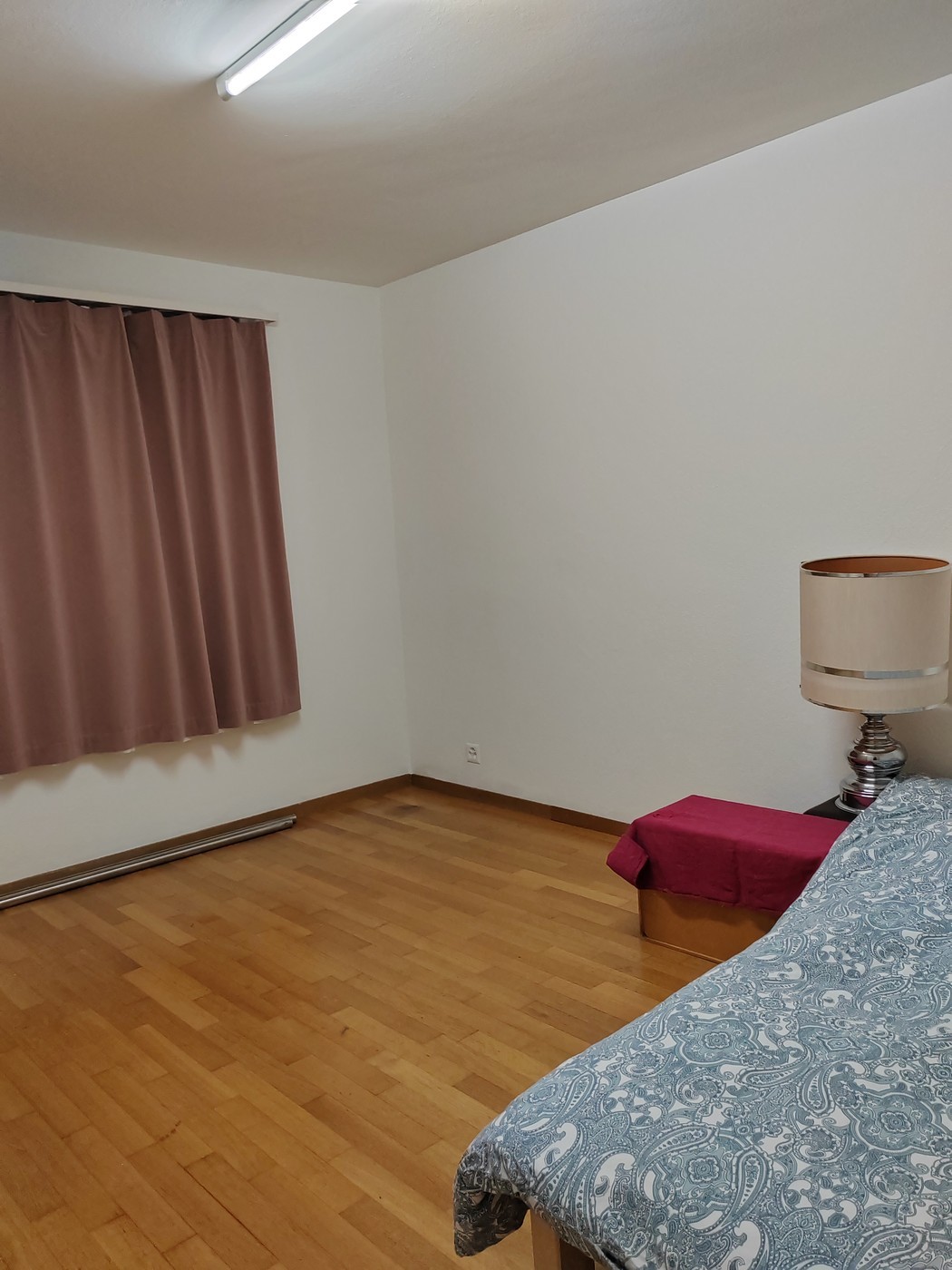 Chambre dans une colocation