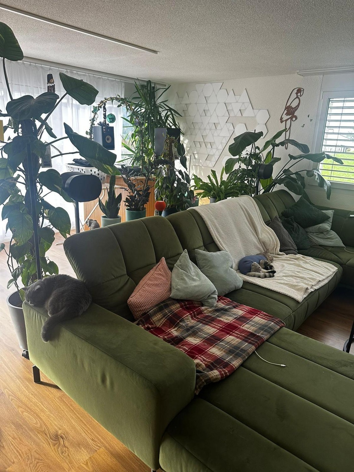 Room in a shared flat, Foto 5 von 9