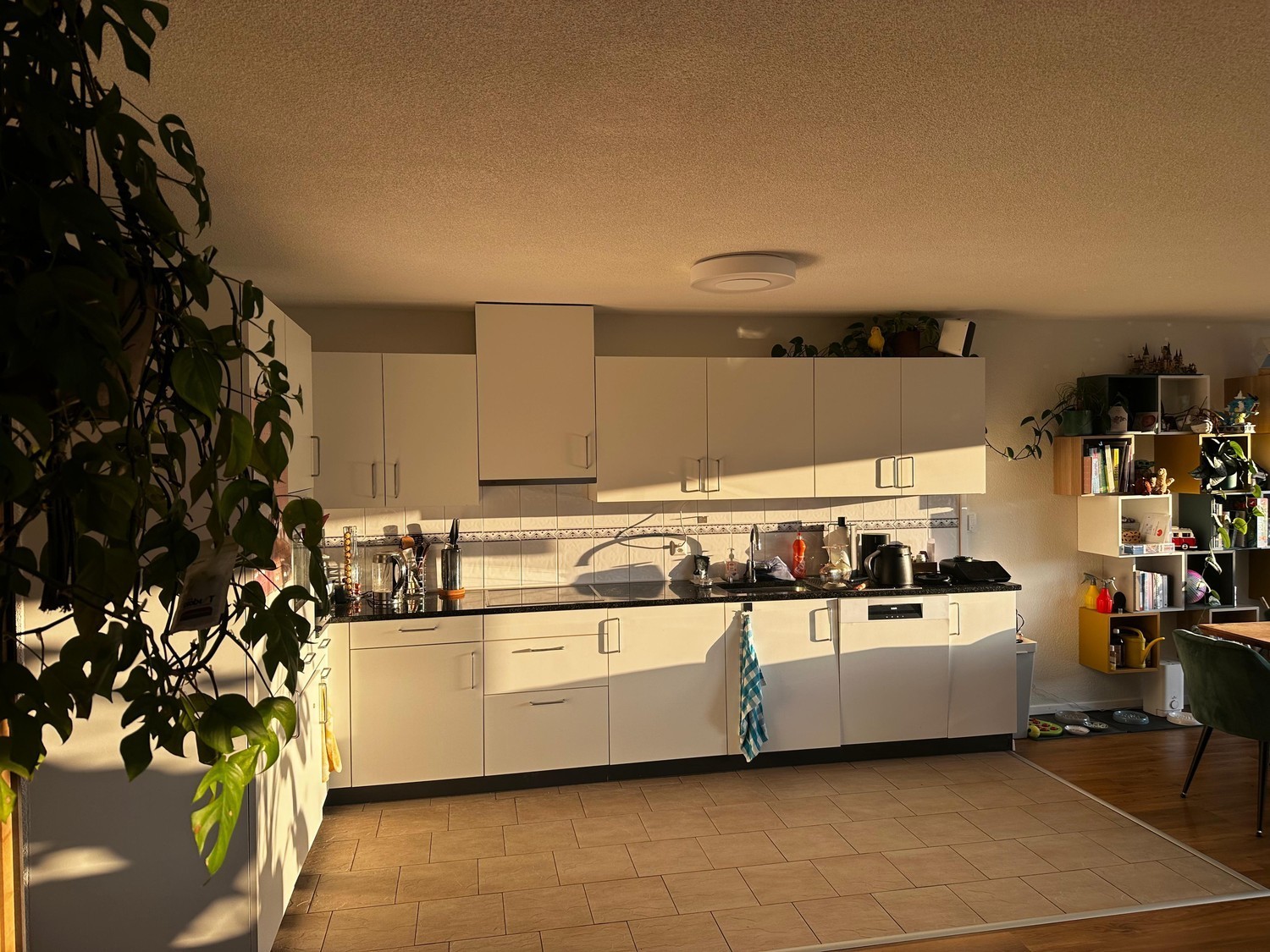 Room in a shared flat, Foto 1 von 9