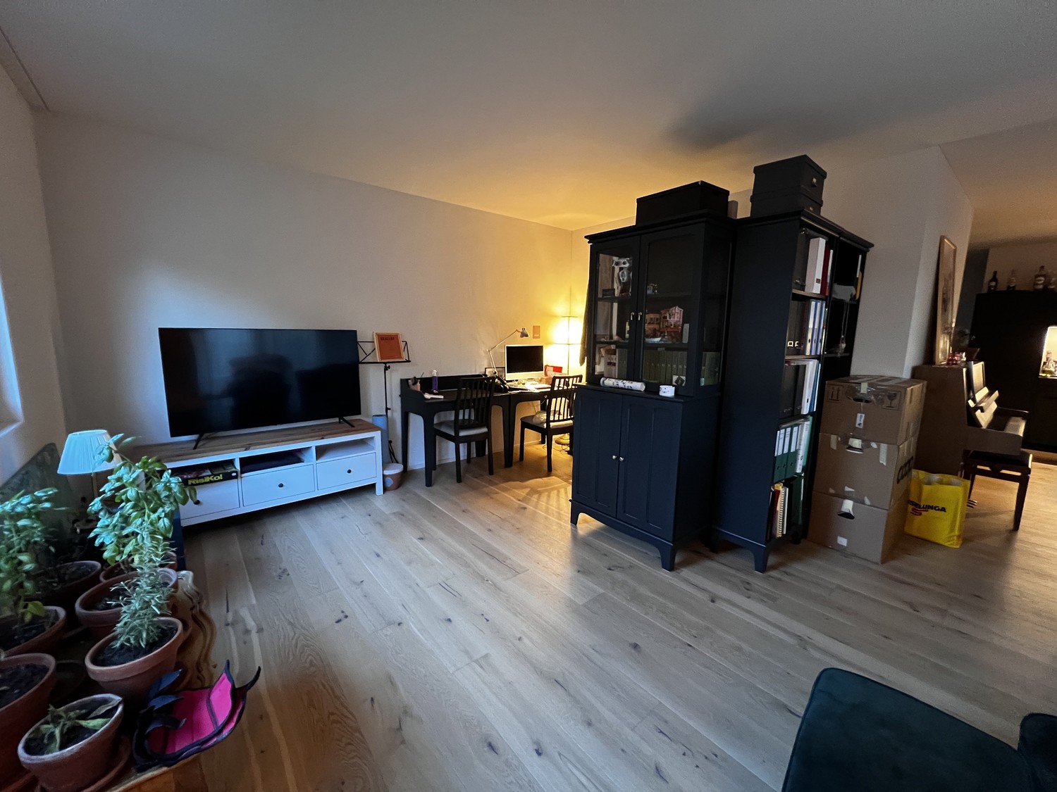 2 ½ rooms apartment