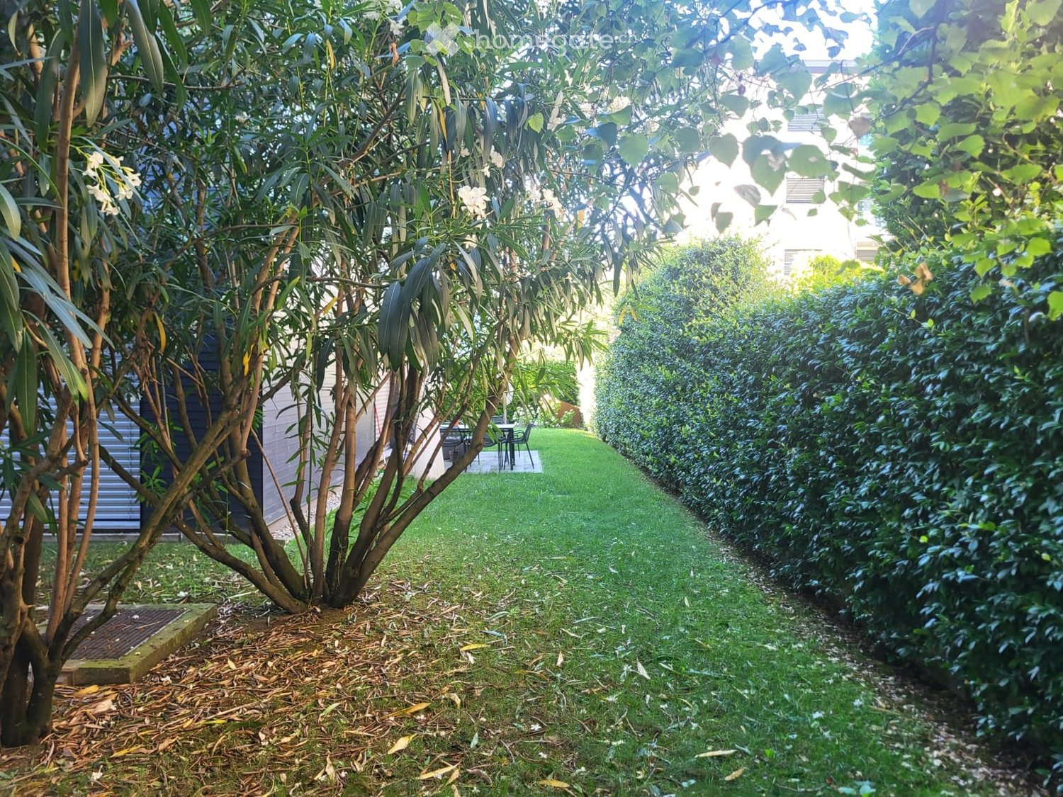 3 ½ Zimmer-Wohnung