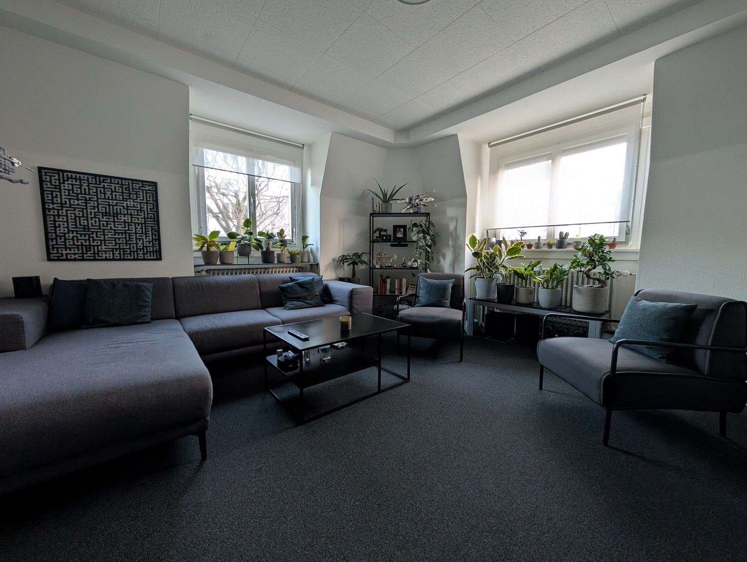 Room in a shared flat