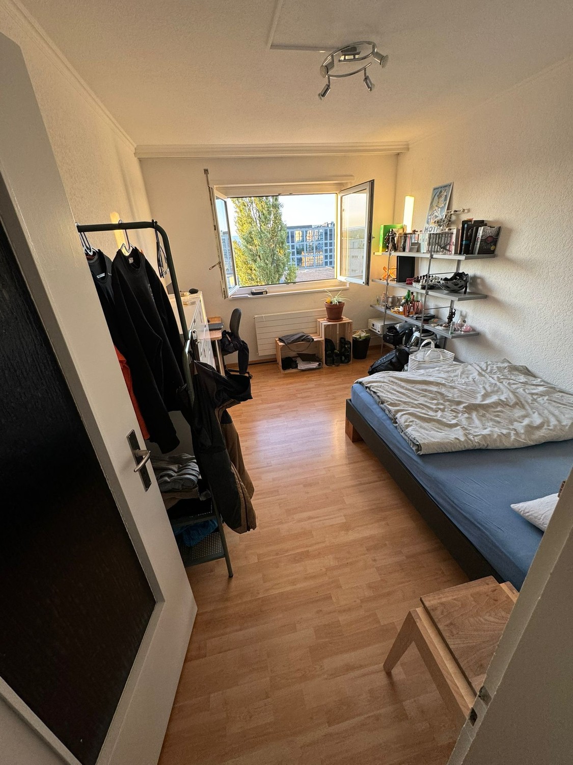 Room in a shared flat