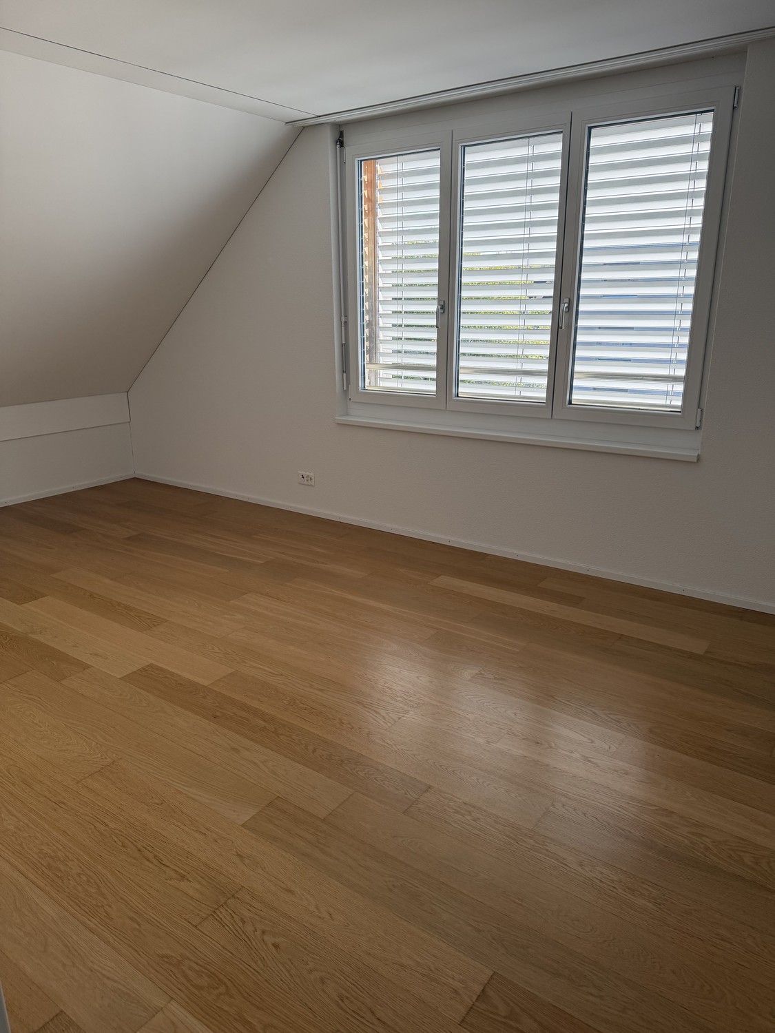 5 ½ room apartment