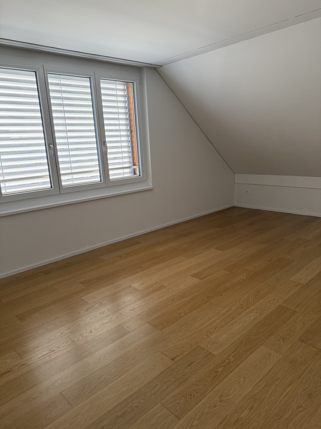 5 ½ room apartment
