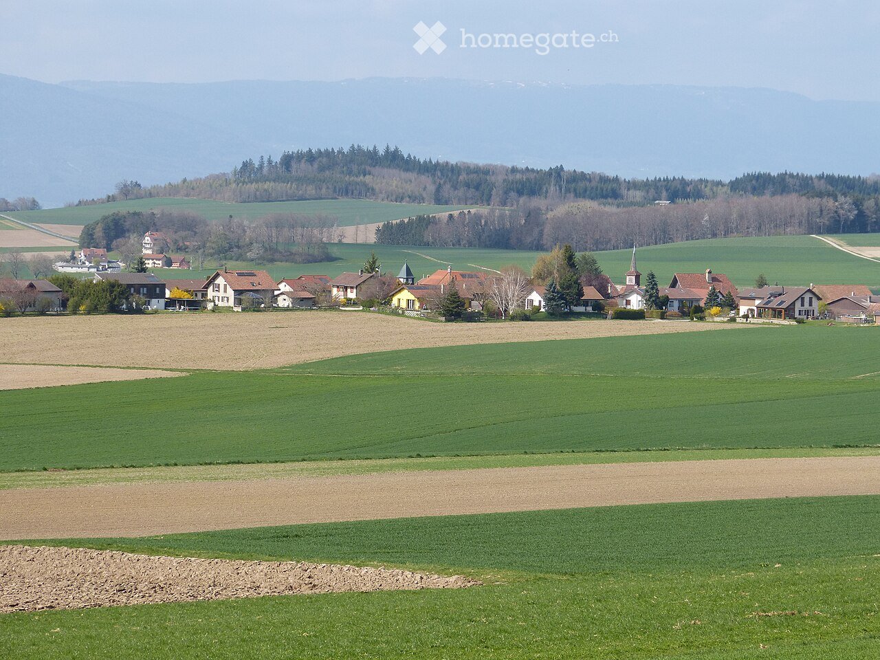 Appartamento di 2 ½ locali