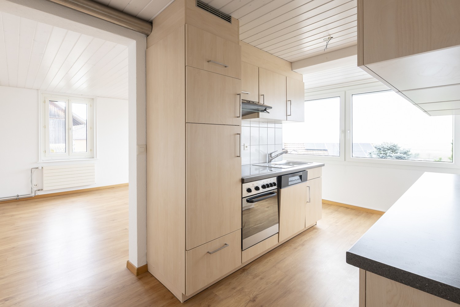 4 ½ pièces appartement