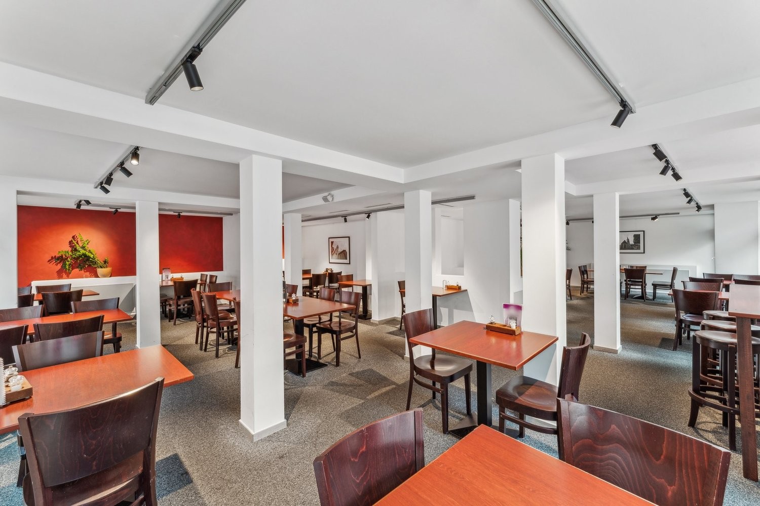 Ristorante di 265m²