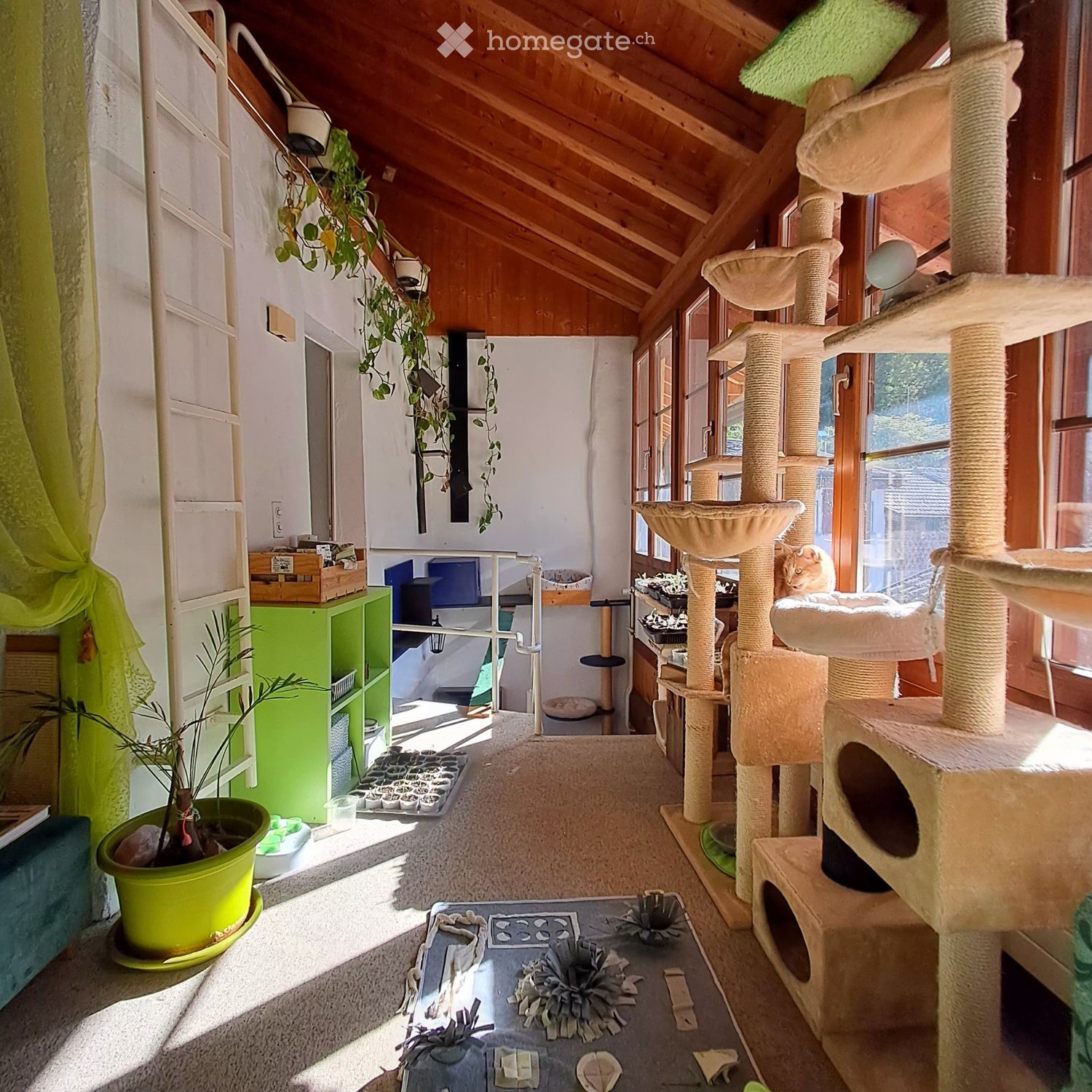 1 ½ rooms apartment, photo 3 sur 5