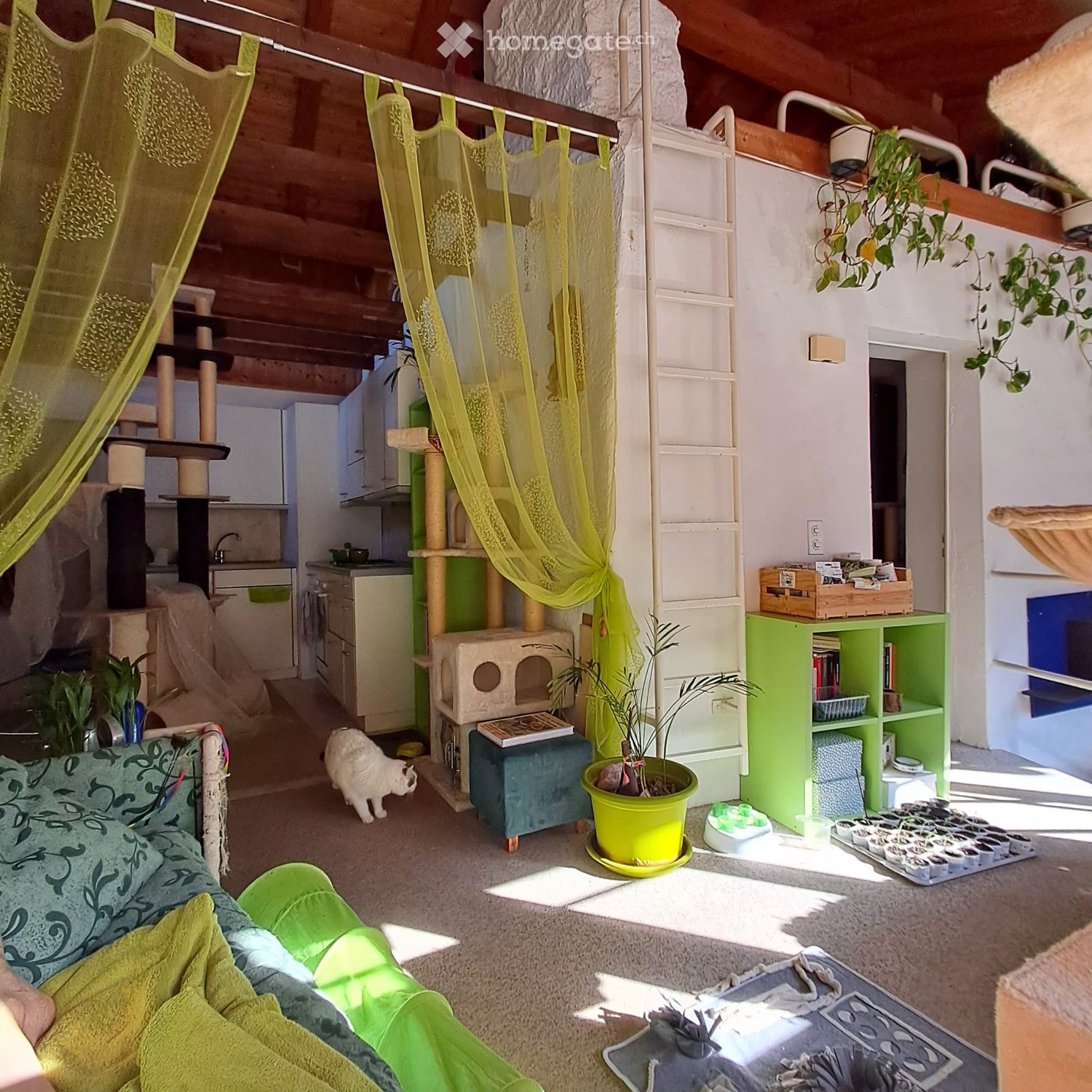 1 ½ rooms apartment, photo 4 sur 5