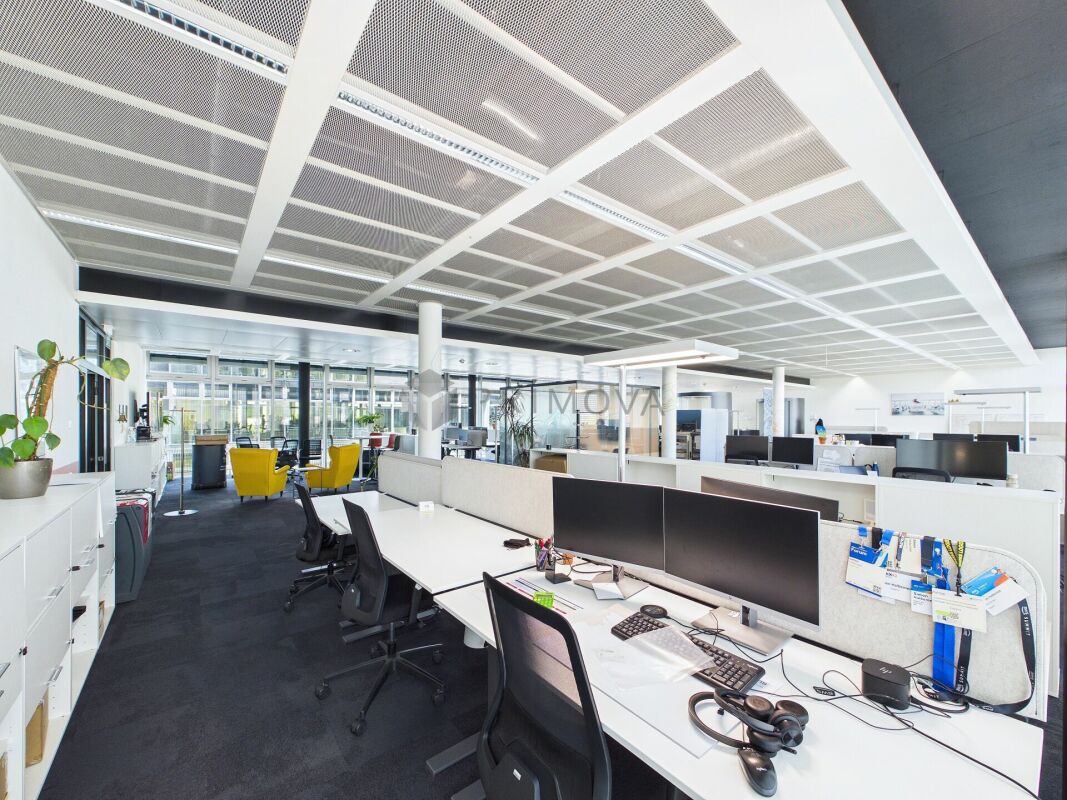 417m² office, Foto 9 von 10