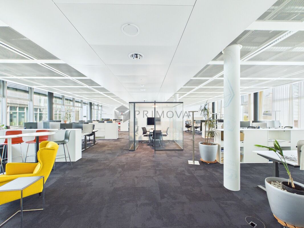 417m² office, Foto 8 von 10