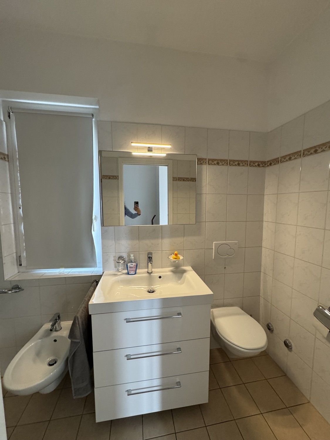Appartement de 3 ½ pièces