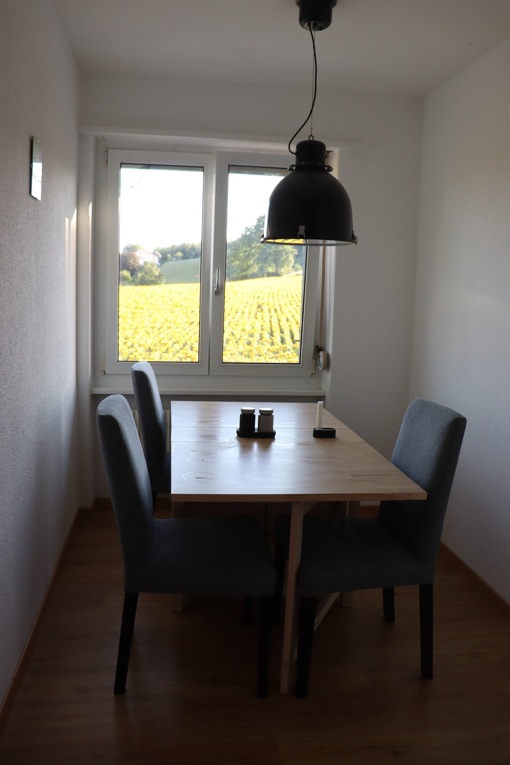 Chambre en colocation