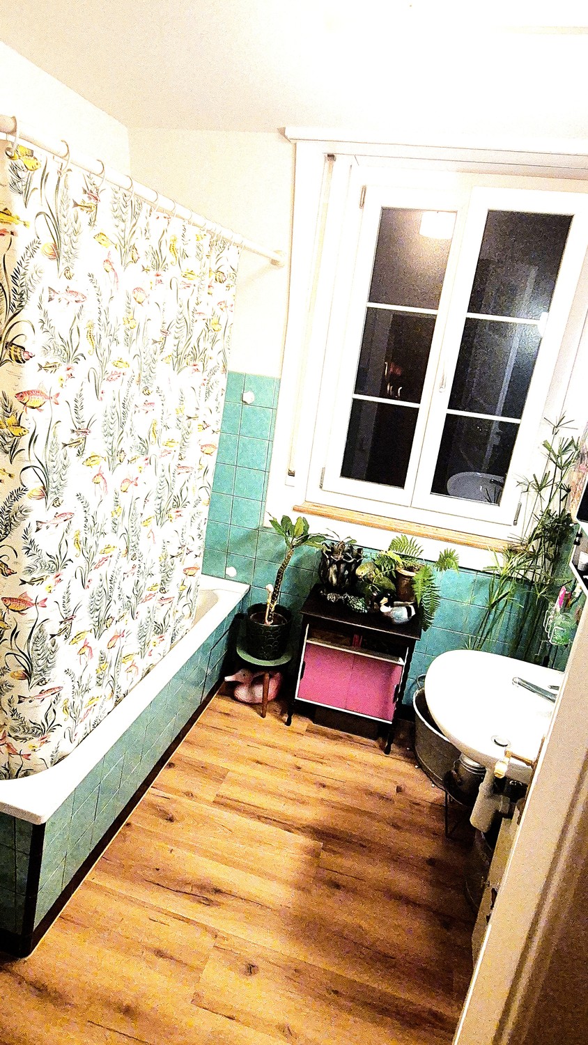 Room in a shared flat