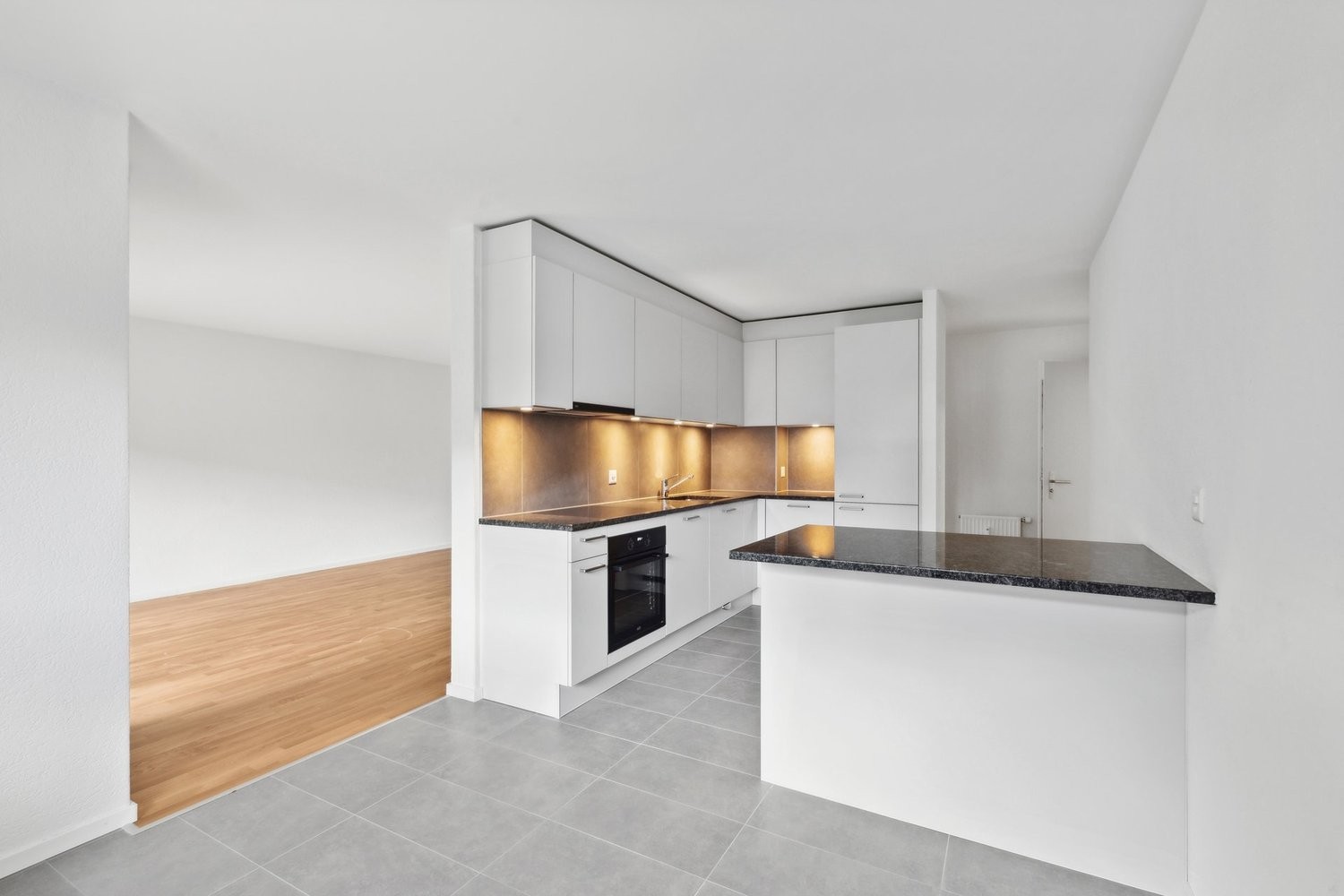 3 ½ rooms apartment (5)