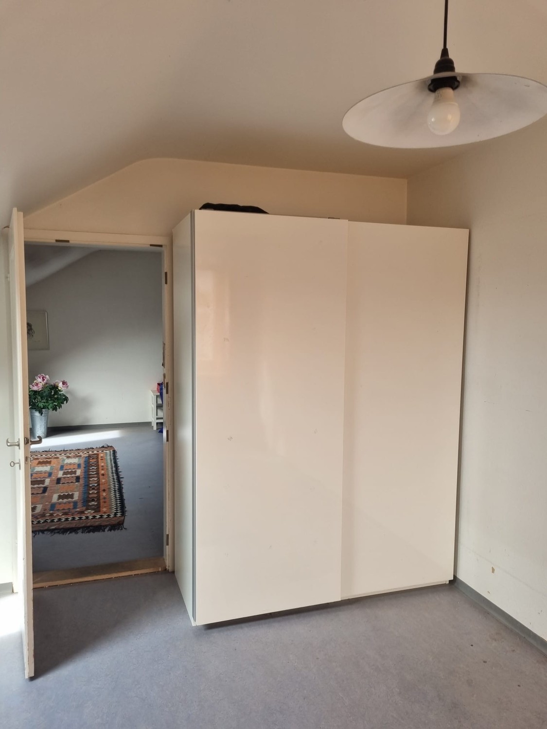 Room in a shared flat