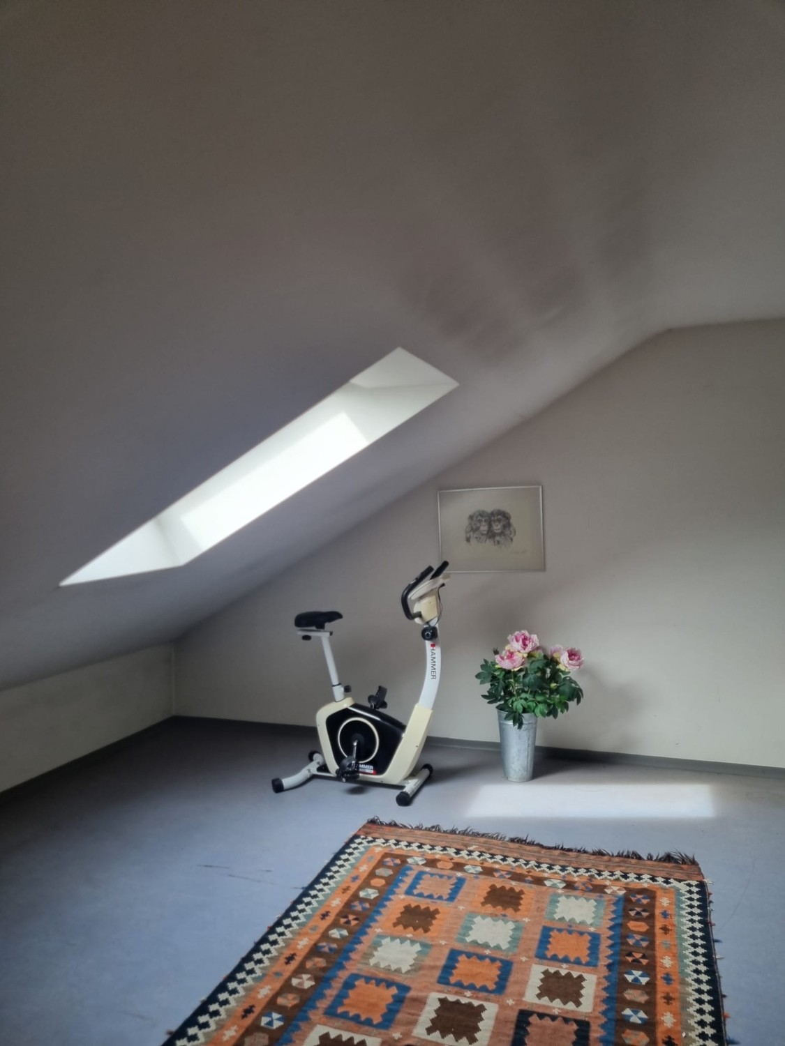 Room in a shared flat