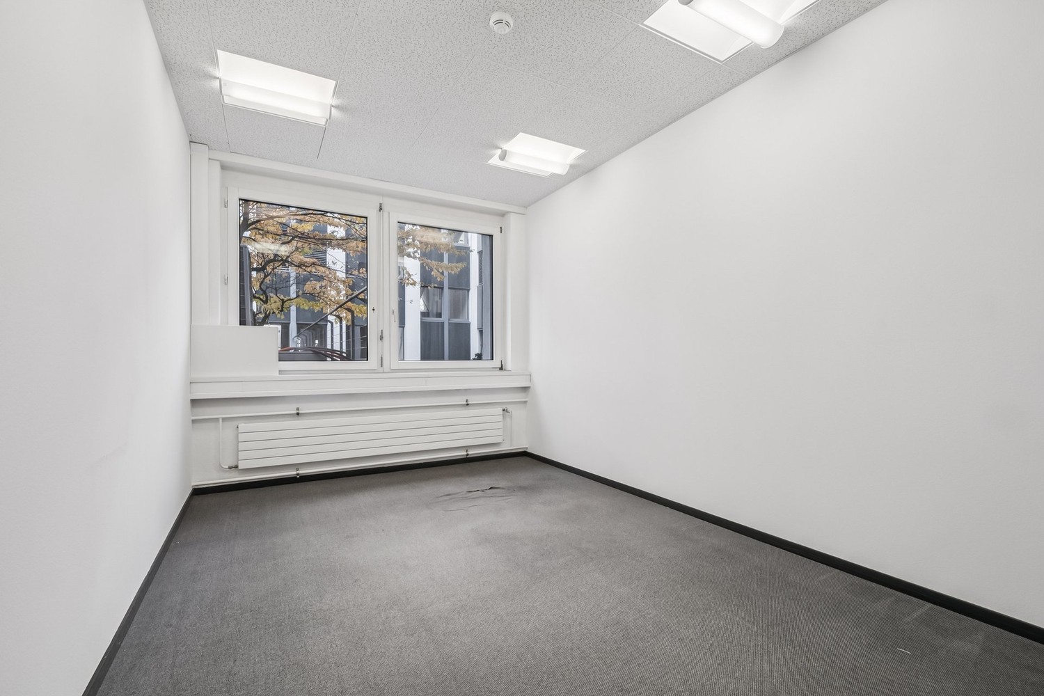 165m² office