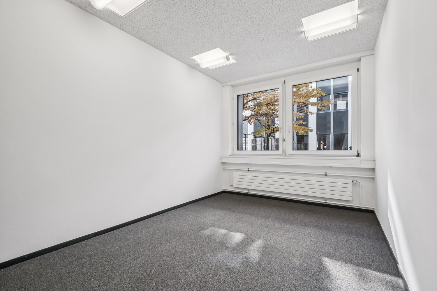 165m² office